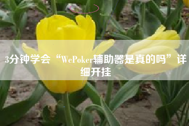 3分钟学会“WePoker辅助器是真的吗”详细开挂