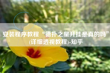 安装程序教程“德扑之星开挂是真的吗”(详细透视教程)-知乎