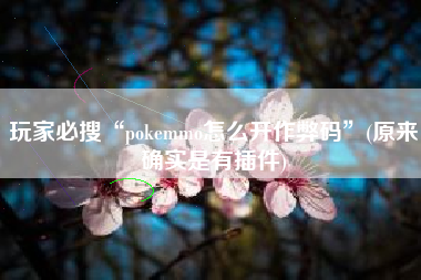 玩家必搜“pokemmo怎么开作弊码”(原来确实是有插件)