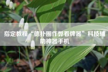 指定教程“德扑圈作弊看牌器”科技辅助神器手机