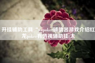 开挂辅助工具“wepoker辅助器游戏介绍红龙poker有透视辅助挂(太
