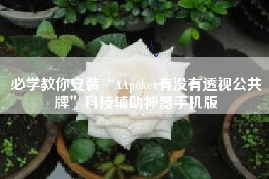 必学教你安装“AApoker有没有透视公共牌”科技辅助神器手机版