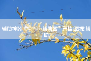 辅助神器“WePoker辅助器”开挂(透视)辅助