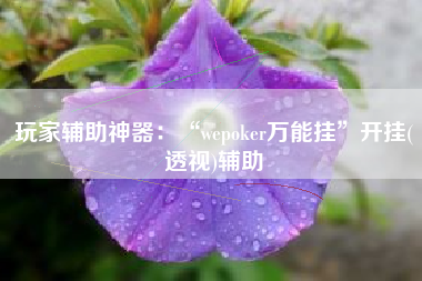 玩家辅助神器：“wepoker万能挂”开挂(透视)辅助