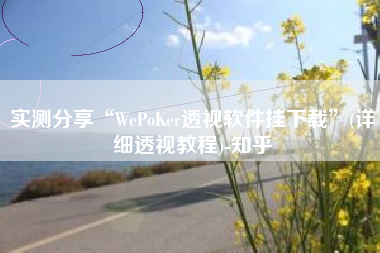 实测分享“WePoKer透视软件挂下载”(详细透视教程)-知乎