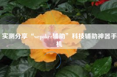 实测分享“wepoker辅助”科技辅助神器手机