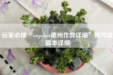 玩家必搜“wepoker德州作弊详细”附开挂脚本详细