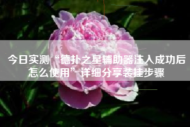 今日实测“德扑之星辅助器注入成功后怎么使用”详细分享装挂步骤