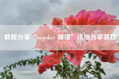 教程分享“wepoker 规律”详细分享装挂