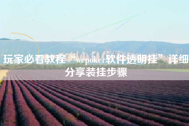 玩家必看教程“wepoker软件透明挂”详细分享装挂步骤