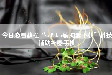 今日必看教程“wePoker辅助器下载”科技辅助神器手机