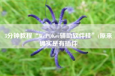 3分钟教程“WePOKer辅助软件挂”(原来确实是有插件
