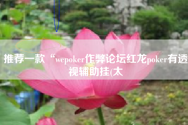 推荐一款“wepoker作弊论坛红龙poker有透视辅助挂(太
