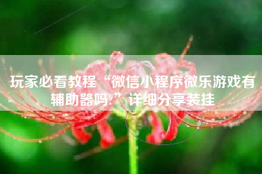 玩家必看教程“微信小程序微乐游戏有辅助器吗?”详细分享装挂