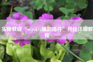 实操教程“wepoker辅助插件	”开挂详细教程