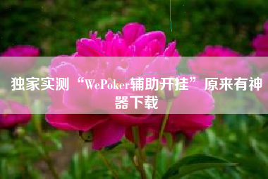 独家实测“WePoker辅助开挂”原来有神器下载
