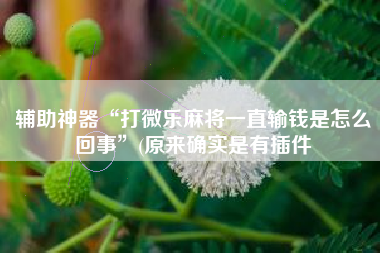 辅助神器“打微乐麻将一直输钱是怎么回事”(原来确实是有插件