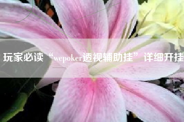 玩家必读“wepoker透视辅助挂”详细开挂