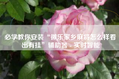 必学教你安装“微乐家乡麻将怎么样看出有挂”辅助器 - 实时智能