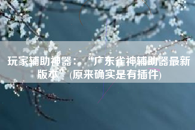 玩家辅助神器：“广东雀神辅助器最新版本	”(原来确实是有插件)