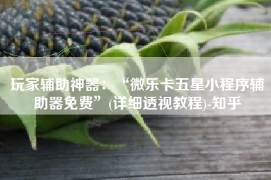 玩家辅助神器：“微乐卡五星小程序辅助器免费”(详细透视教程)-知乎