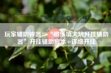 玩家辅助神器：“微乐填大坑开挂辅助器”开挂辅助脚本+详细开挂