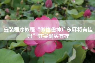 安装程序教程“微信雀神广东麻将有挂吗”其实确实有挂