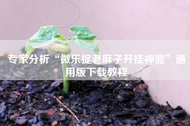 专家分析“微乐捉老麻子开挂神器”通用版下载教程