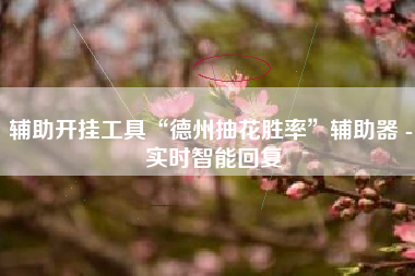 辅助开挂工具“德州抽花胜率”辅助器 - 实时智能回复