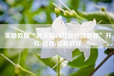 实操教程“微乐麻将万能开挂教程”开挂(透视)辅助教程