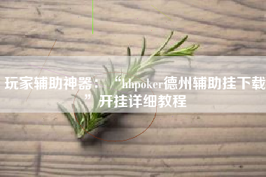 玩家辅助神器：“hhpoker德州辅助挂下载”开挂详细教程