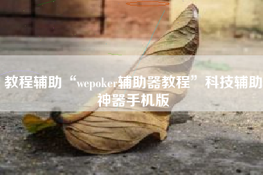 教程辅助“wepoker辅助器教程”科技辅助神器手机版