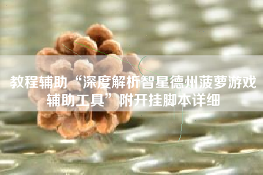 教程辅助“深度解析智星德州菠萝游戏辅助工具”附开挂脚本详细