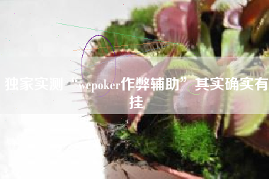独家实测“wepoker作弊辅助”其实确实有挂