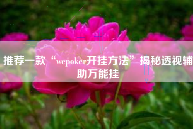 推荐一款“wepoker开挂方法”揭秘透视辅助万能挂