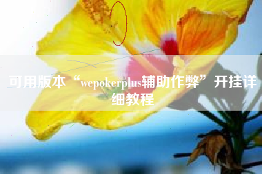 可用版本“wepokerplus辅助作弊”开挂详细教程