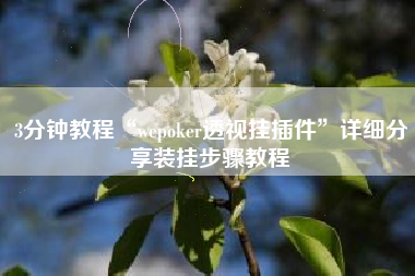 3分钟教程“wepoker透视挂插件”详细分享装挂步骤教程