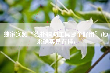 独家实测“德扑辅助工具哪个好用”(原来确实是有挂)