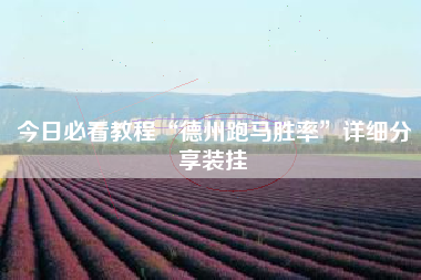 今日必看教程“德州跑马胜率”详细分享装挂