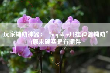 玩家辅助神器：“uupoker开挂神器辅助”(原来确实是有插件