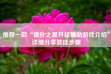 推荐一款“德扑之星开挂辅助游戏介绍”详细分享装挂步骤