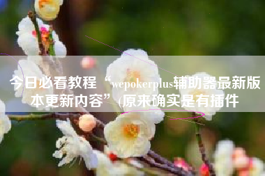今日必看教程“wepokerplus辅助器最新版本更新内容”(原来确实是有插件