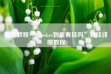 指定教程“AApoker到底有挂吗”开挂详细教程
