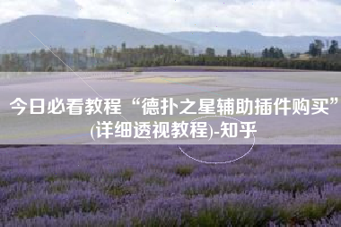 今日必看教程“德扑之星辅助插件购买”(详细透视教程)-知乎