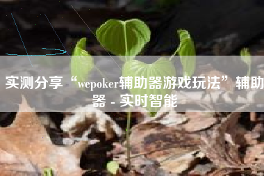实测分享“wepoker辅助器游戏玩法”辅助器 - 实时智能