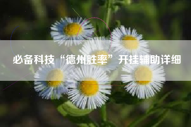 必备科技“德州胜率”开挂辅助详细