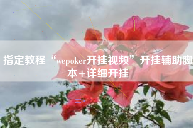 指定教程“wepoker开挂视频”开挂辅助脚本+详细开挂