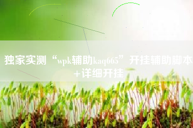 独家实测“wpk辅助kaq665”开挂辅助脚本+详细开挂