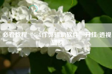 必看教程“wpk作弊辅助软件”开挂(透视)辅助