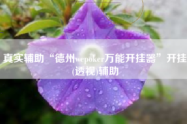 真实辅助“德州wepoker万能开挂器”开挂(透视)辅助